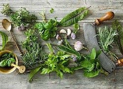Mách bạn 3 loại lá nam giảm cân tốt nhất, sử dụng nhanh chóng có thân hình thon gọn