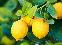 6 thứ chuyên gia khuyên bạn không nên bôi lên mặt