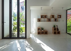 Ngắm căn nhà phố ngập tràn cây xanh ở TP Huế