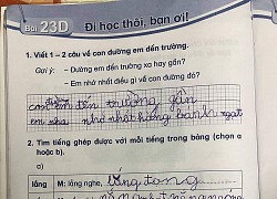 Cô giáo yêu cầu "Viết 1-2 câu về con đường em đến trường", học sinh lớp 1 trả lời vài từ, đọc xong muốn trầm cảm: Trần trụi đến thế là cùng!