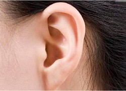 Tài vận đến từ những đôi tai có đặc điểm này, càng lớn tuổi càng may mắn, giàu có vinh hoa, bạn có sở hữu không?