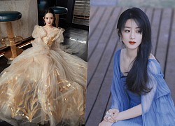 Triệu Lệ Dĩnh sở hữu khối tài sản &#8220;khủng&#8221; sau ly hôn, bị chê trách không phải người mẹ tốt