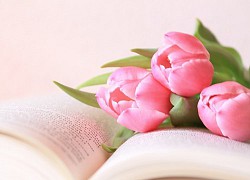 Tử vi ngày 29/10/2021 của 12 cung hoàng đạo: Cự Giải hấp tấp, Xử Nữ nhiều năng lượng