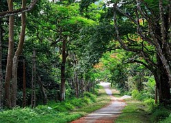 Việt Nam lần đầu tiên được vinh danh là Điểm đến du lịch bền vững hàng đầu châu Á