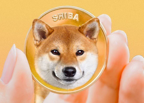 Hồ sơ Shiba Inu, tiền mã hóa vừa vượt mặt Dogecoin