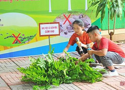 Học sinh Hương Khê thi tài phòng tránh tai nạn bom mìn