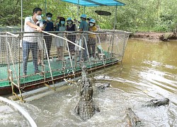 12 giờ trải nghiệm tour khép kín Cần Giờ