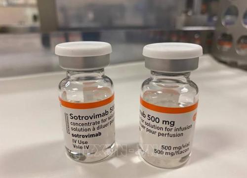 Australia tăng nguồn cung thuốc sotrovimab điều trị COVID-19