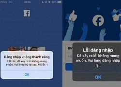 Cảnh báo: Hàng loạt TikToker tung tin giả để câu view về việc Facebook tại Việt Nam bị khoá đến 10/10