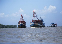 Khắc phục 'thẻ vàng' IUU: Không sang Việt Nam, EC sẽ họp trực tuyến