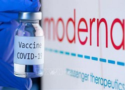 Moderna đề nghị Canada phê duyệt liều tiêm thứ ba vaccine phòng COVID-19