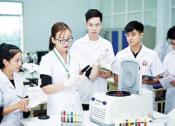 Ngành khoa học cơ bản: Giải bài toán '3 khó'