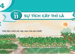 Sách Tiếng Việt 2 vẫn còn quá nhiều "sạn"