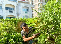 Sân thượng 20m xanh mướt có đủ rau, hoa, góc thưởng trà thư giãn ở Sài Gòn