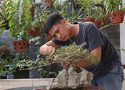 Thầy giáo chăm làm từ thiện bằng tiền đấu giá bonsai