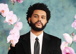 The Weeknd là ai mà hẹn hò cả 3 "siêu mỹ nhân" Selena Gomez, Bella Hadid và Angelina Jolie? Nhìn pro5 xỉu luôn trời!