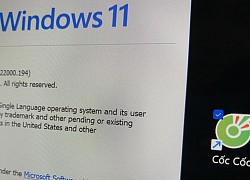 Ứng dụng Việt nổi tiếng được Microsoft xác nhận gặp vấn đề với Windows 11