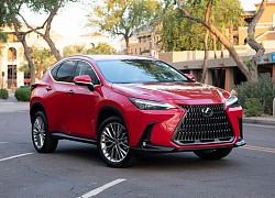 Ảnh chi tiết Lexus NX 2022, giá từ 863 triệu đồng