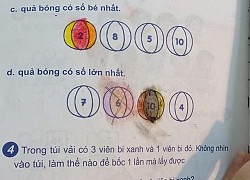 Bài toán lớp 1: &quot;Trong túi có 3 bi xanh - 1 bi đỏ. Làm thế nào để bốc 1 lần được 1 bi xanh và 1 bi đỏ&quot;, phụ huynh chào thua nhưng đáp án siêu dễ