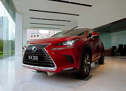 Bảng giá xe Lexus tháng 10/2021: Đắt nhất 8,340 tỷ đồng