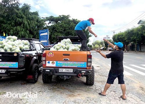 Các chuyến xe bán hàng lưu động bình ổn giá đã cung ứng khoảng 600 tấn nông sản