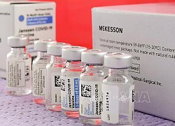 Châu Âu phê duyệt nhà máy của hãng dược Merck sản xuất vaccine của J&J