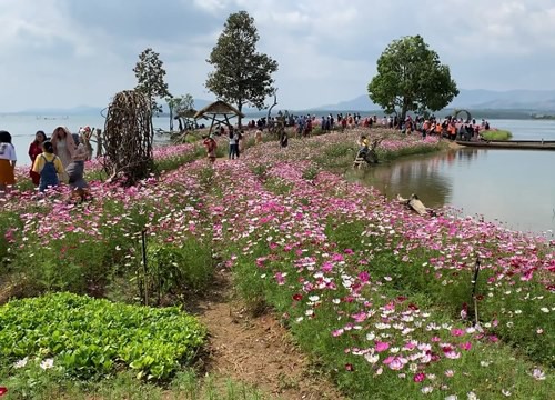 Đảo hoa Kon Trang Long Loi - Có nơi nào đẹp hơn?