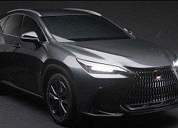 Không chỉ người Việt hâm mộ Lexus, khách Mỹ cũng đang chuộng dòng xe sang này và từ bỏ dần Mercedes-Benz