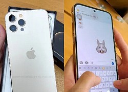 Lộ ảnh thực tế mô hình iPhone 14, thiết kế đỉnh hơn nhiều so với iPhone 13 vừa ra mắt?