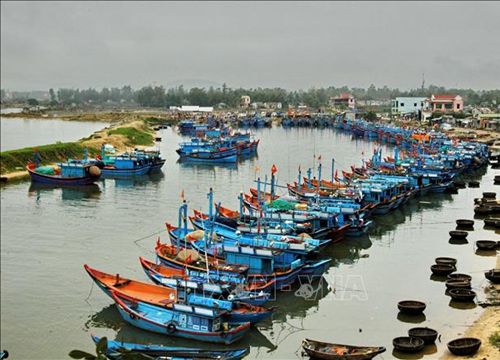 Quảng Ngãi hướng dẫn cho hai tàu ở vùng nguy hiểm vào nơi an toàn