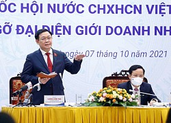 "Sức khỏe người dân, doanh nghiệp bị bào mòn qua 4 đợt dịch"