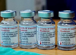 Châu Phi hướng tới sản xuất vaccine mRNA dựa trên công thức cơ bản của Moderna