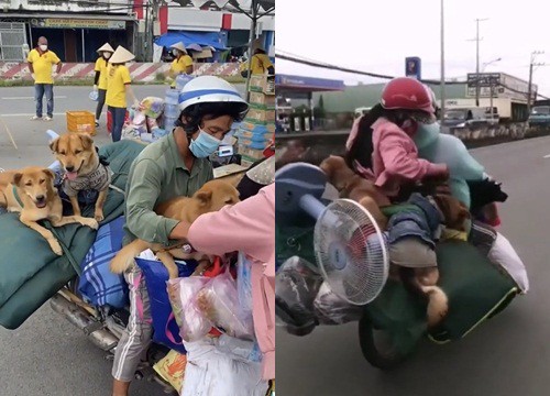 Chính quyền xã lên tiếng về vụ 15 con chó bị tiêu hủy: "Người dân đã đồng ý, dựa trên tinh thần tự nguyện"