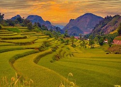 Đẹp nao lòng trên những thửa ruộng bậc thang Tủa Chùa