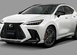 Lexus NX 2022 được nâng cấp với gói trang bị thể thao TRD