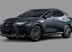 Mới nghe xe Toyota độ lên Lexus nhưng giờ Lexus NX đời mới có gói độ mới từ Toyota