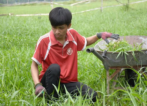 'Nhận giấy báo trúng tuyển đại học, tôi mừng đến run cả người'