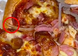 Phát hiện giòi bò trong bánh pizza, cô gái đăng clip bóc phốt nhưng lại khiến dân mạng nghi ngờ vì lý do này