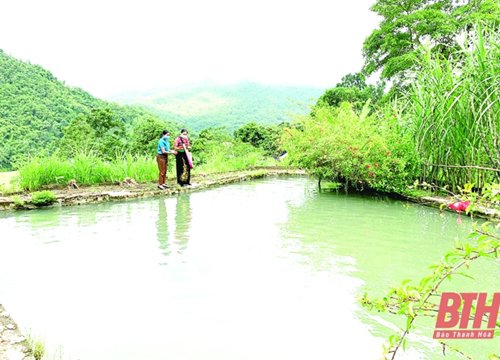 Phụ nữ huyện Quan Hóa giúp nhau xóa đói, giảm nghèo