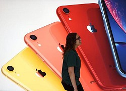 Thêm thông tin về iPhone SE 3 ra mắt đầu năm sau