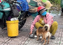 Vụ 15 con chó bị tiêu hủy ở Cà Mau: Một người không liên quan ở Đồng Nai liên tục bị gọi điện chửi bới