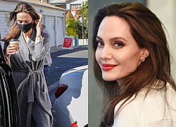 Angelina Jolie đi ăn tối với chồng cũ, dấy lên tin đồn tái hợp hậu hẹn hò với The Weeknd