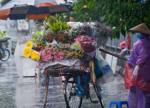 Bão vừa tan, miền Trung lại đón đợt mưa cực lớn, có nơi trên 600mm