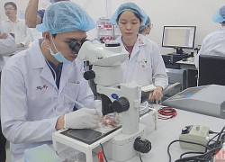 Đại học Quốc gia TP Hồ Chí Minh có thêm 2 nhóm ngành xếp hạng cao trên thế giới