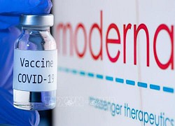 FDA Mỹ: Hiệu quả tiêm mũi vaccine tăng cường của Moderna chưa rõ ràng