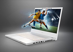 Laptop với màn hình 3D không cần dùng kính