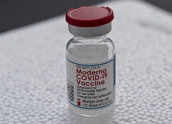 Moderna nhận cảnh báo từ chính quyền Mỹ phải tăng sản lượng vaccine toàn cầu