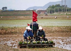 Vì sao Triều Tiên đối mặt nguy cơ nạn đói?