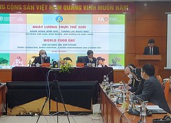 Xây dựng hệ thống lương thực, thực phẩm hiệu quả, linh hoạt