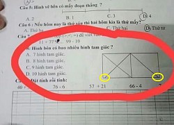 Câu hỏi đếm số hình tam giác dành cho học sinh lớp 1, có đến 90% dân mạng phải "bó tay" chỉ vì không nhìn ra một điểm